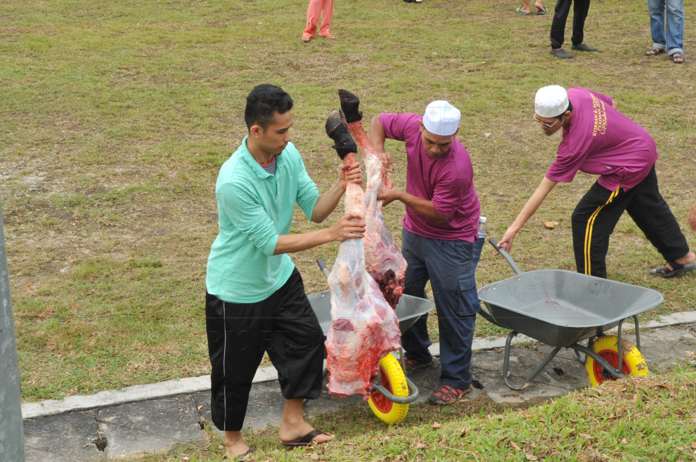 PRO15 150 KORBAN HAS 6965